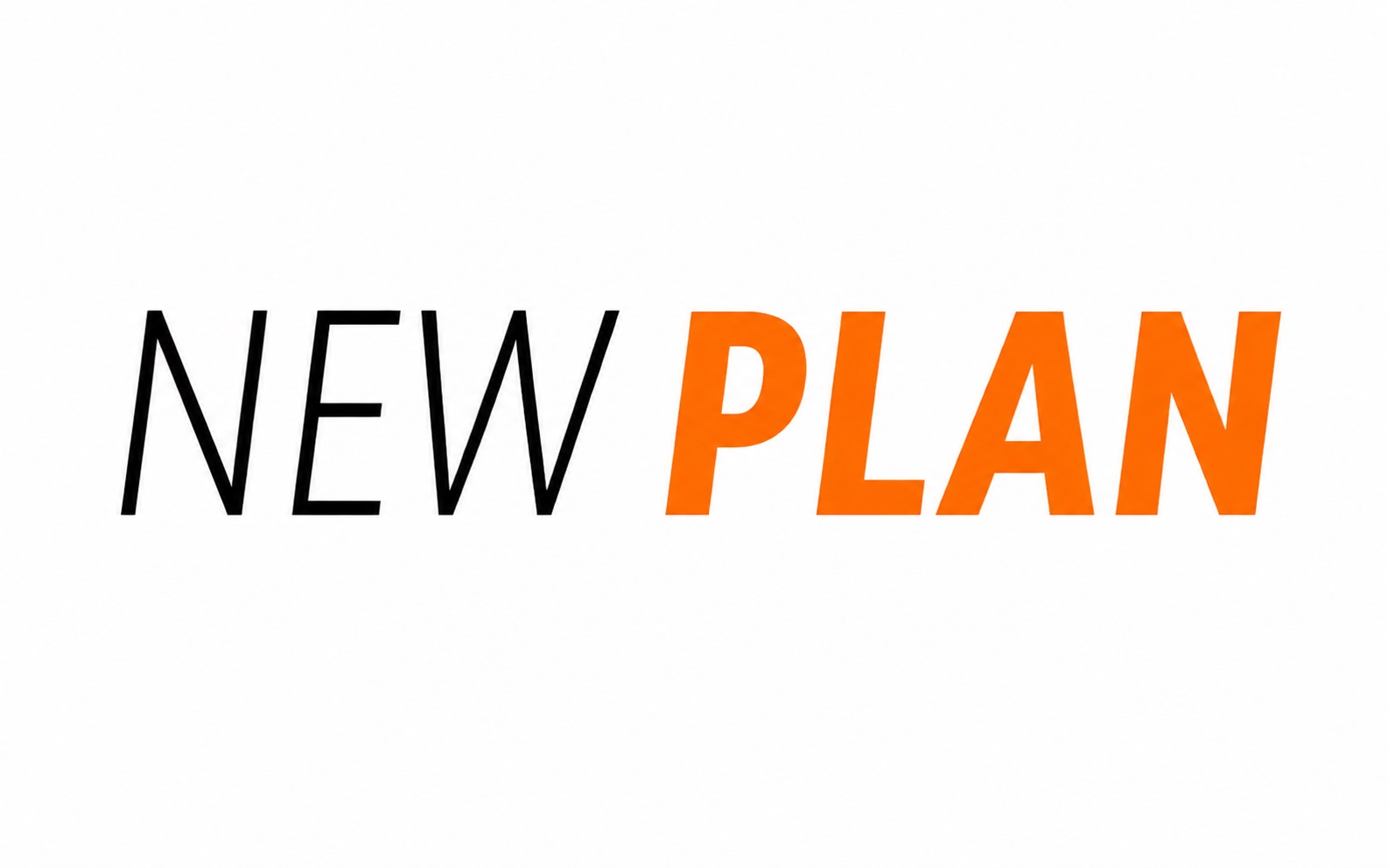 NEW PLAN SPÓŁKA Z OGRANICZONĄ ODPOWIEDZIALNOŚCIĄ